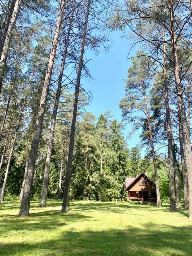 Villa Rojaus Slenis Druskininkai Exterior foto