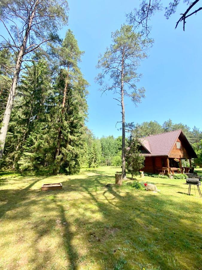 Villa Rojaus Slenis Druskininkai Exterior foto