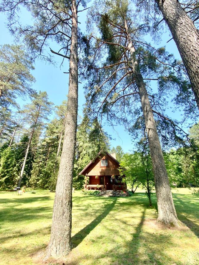 Villa Rojaus Slenis Druskininkai Exterior foto