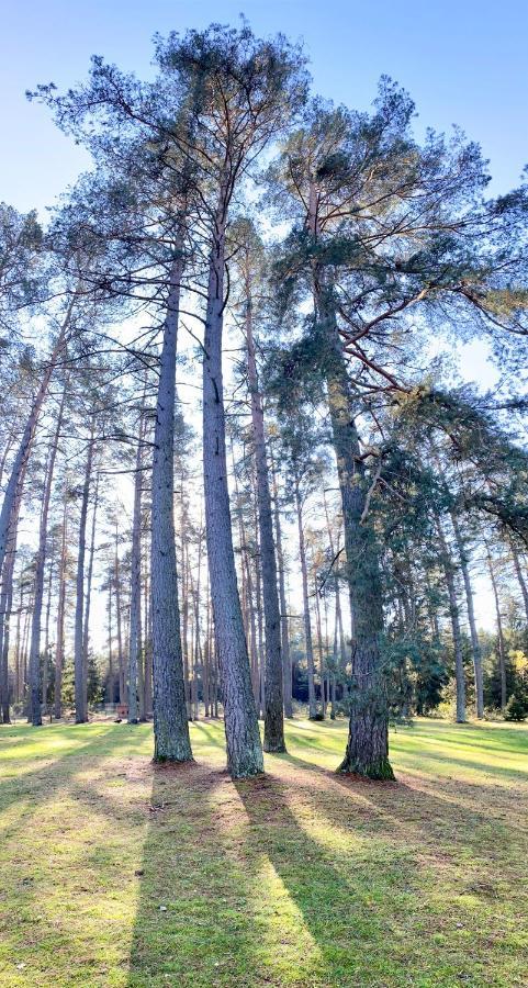 Villa Rojaus Slenis Druskininkai Exterior foto