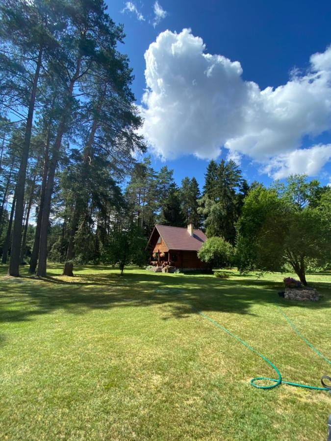 Villa Rojaus Slenis Druskininkai Exterior foto