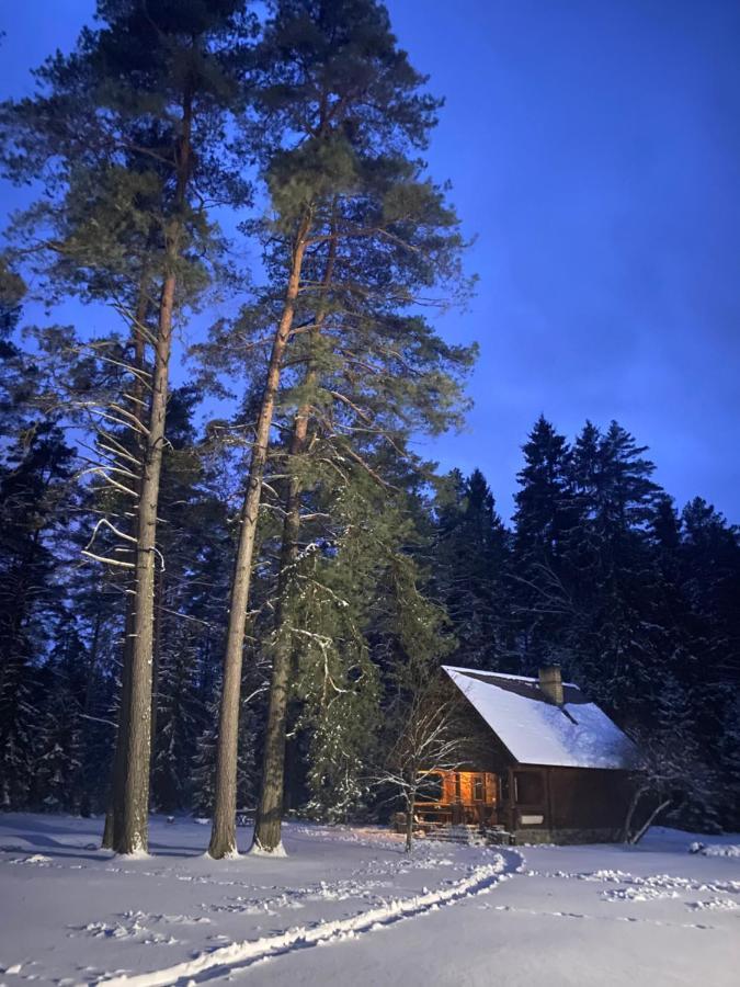Villa Rojaus Slenis Druskininkai Exterior foto