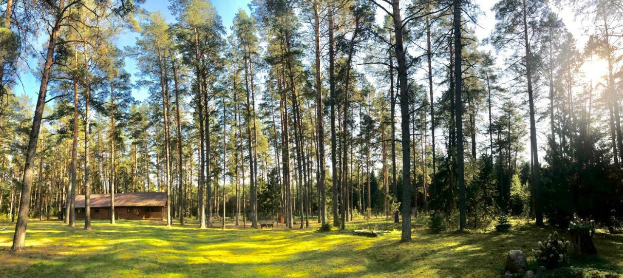 Villa Rojaus Slenis Druskininkai Exterior foto