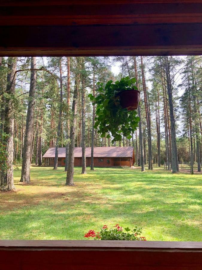 Villa Rojaus Slenis Druskininkai Exterior foto