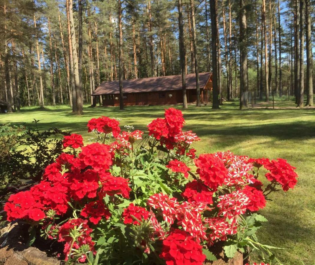 Villa Rojaus Slenis Druskininkai Exterior foto