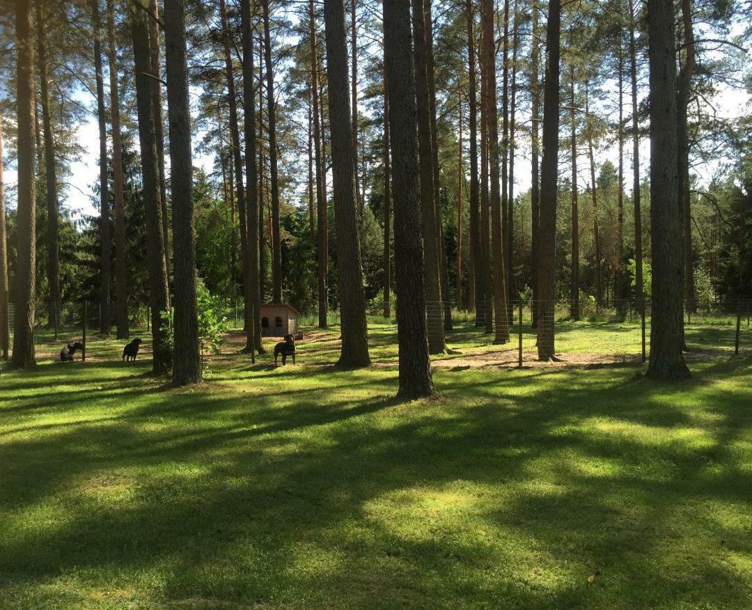 Villa Rojaus Slenis Druskininkai Exterior foto